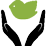 Personalised Tours
