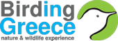 Birding in Greece
